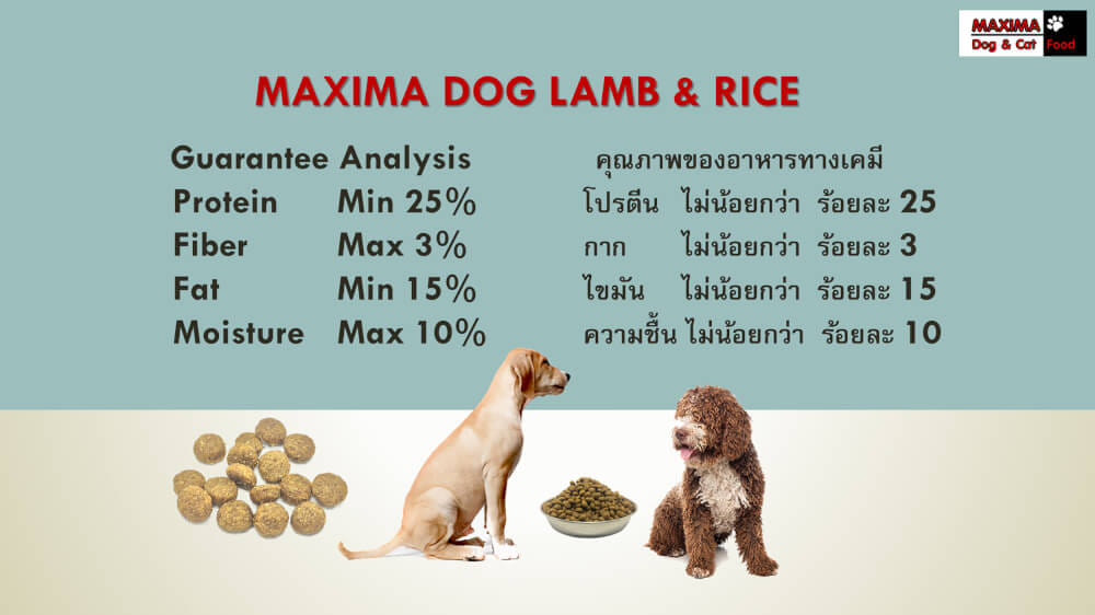 อาหารเม็ด สำหรับสุนัข แม็กซีม่า สายพันธุ์ใหญ่ 2 กก. แถม อาหารเปียกสุนัข แม็กซีม่า สูตรดูแลระบบทางเดินอาหารและย่อยง่าย 380 กรัม_6